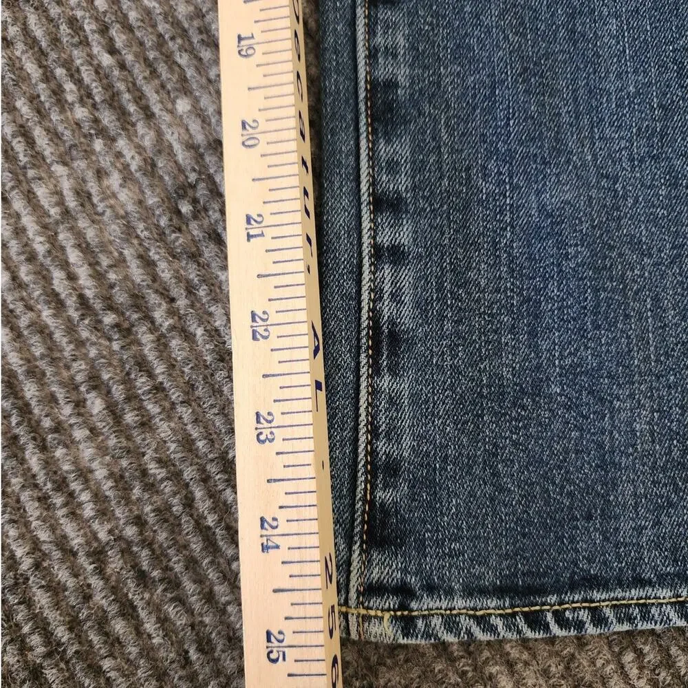 American Eagle Outfitters Womens 10 Artist Double Button Blue Denim Jeans